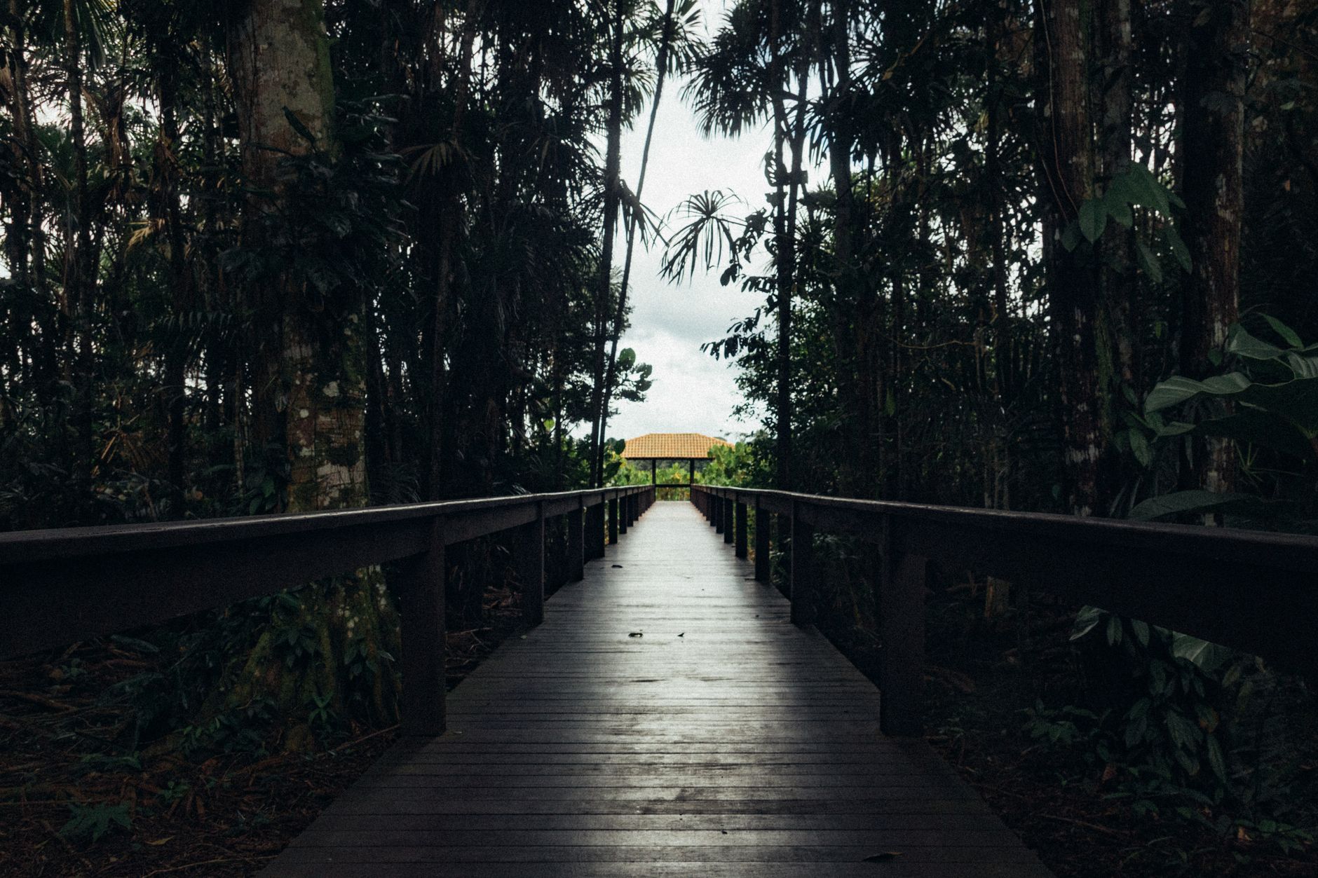Expedição na Amazônia e praias brasileiras com Navega Brasil